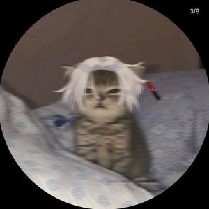 Meet your Posher, Pushpa